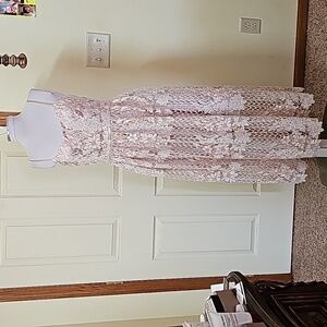 Alex marie lace dress beautiful color kind light pink or peach